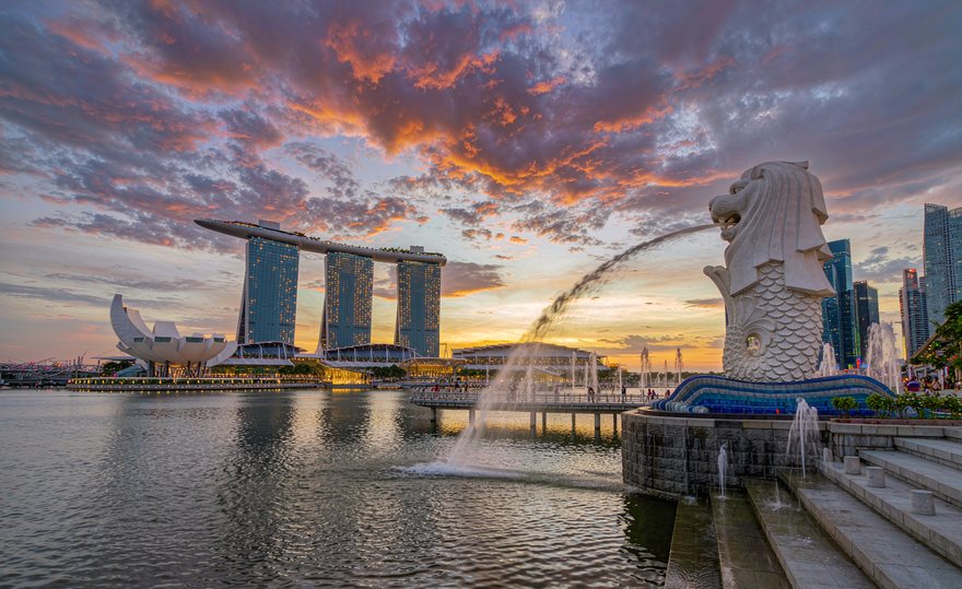 新加坡公司